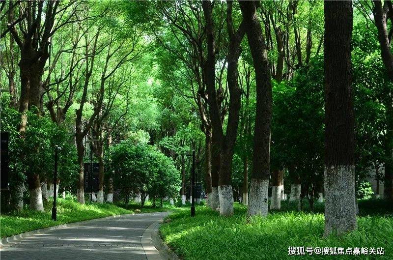 格 户型-生活配套-楼盘地址中鹰黑森林售楼处电线年最新价(图2)